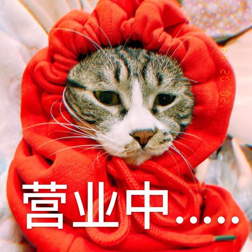 国贸店总统套房会员专享折扣价 商品图0