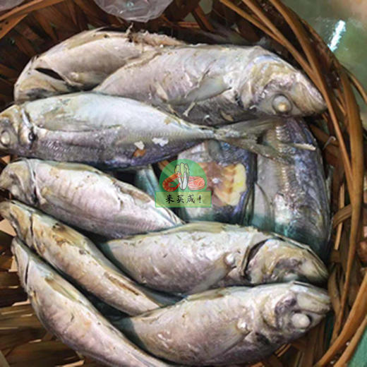 阔目鱼饭 商品图0