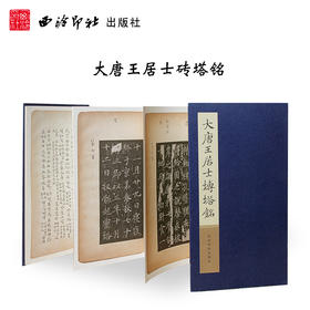 大唐王居士砖塔铭 楷书字帖 小楷欣赏 书法鉴赏 折页字帖 西泠印社出版社