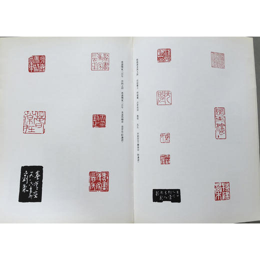 马亦钊书法篆刻选 书法作品集 印谱欣赏  西泠印社出版社 商品图1