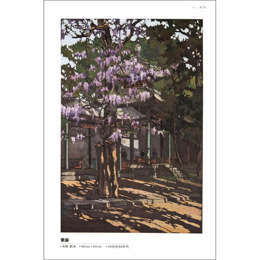 写给世界的诗关广志、关乃平父子创作集 水彩画 彩墨画 个人作品集 西泠印社出版社 商品图2