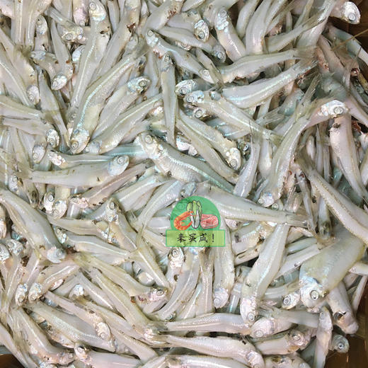 甘鱼仔 鱼饭 商品图0