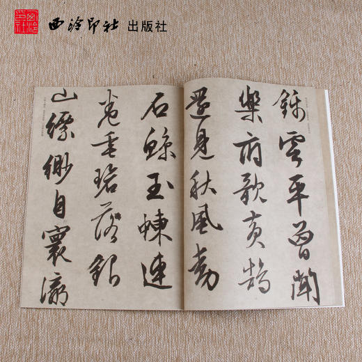 碑帖导临文徵明西苑诗 文征明行书字帖 行书入门 毛笔书法字帖 西泠印社出版社【放大版原贴+部分笔法讲析】 商品图3