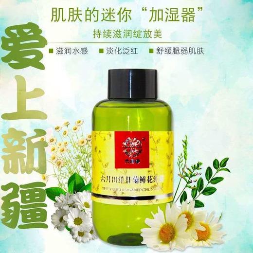 买一送一 新疆伊犁洋甘菊纯露    250ml*2瓶 下单即送小喷瓶 商品图0