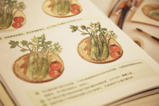 美绘时光 半亩田 水彩画 绘画技法 教程 自然 半亩田 美好生活 色彩 蔬菜 院子 河南美术出版社 商品图1