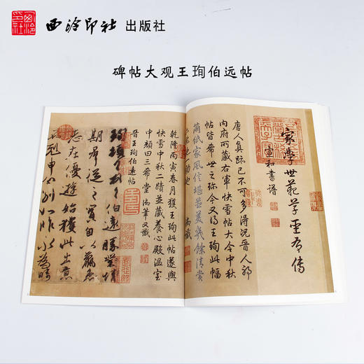 碑帖大观16本套装颜真卿祭侄稿 赵孟頫洛神赋 苏轼黄州寒食帖 名家墨迹 临摹鉴赏 西泠印社出版社 商品图2