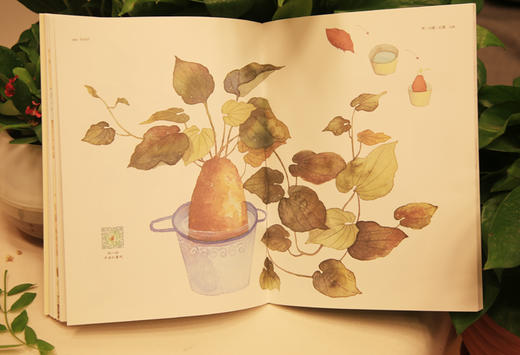 美绘时光 半亩田 水彩画 绘画技法 教程 自然 半亩田 美好生活 色彩 蔬菜 院子 河南美术出版社 商品图3