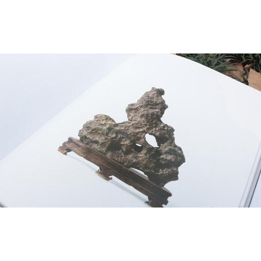 城市山林古代原座赏石 老石断代 石种特质 底座工艺 历史文化 美学性资料性赏石佳作 西泠印社出版社 商品图4