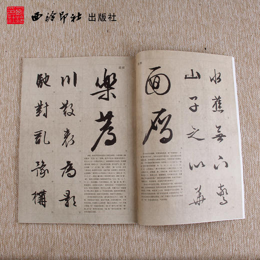 碑帖导临文徵明西苑诗 文征明行书字帖 行书入门 毛笔书法字帖 西泠印社出版社【放大版原贴+部分笔法讲析】 商品图2