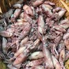 妞鱼饭 商品缩略图0