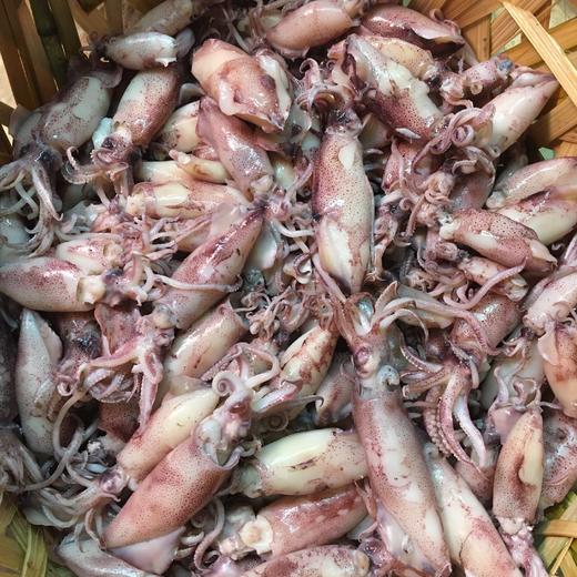妞鱼饭 商品图0
