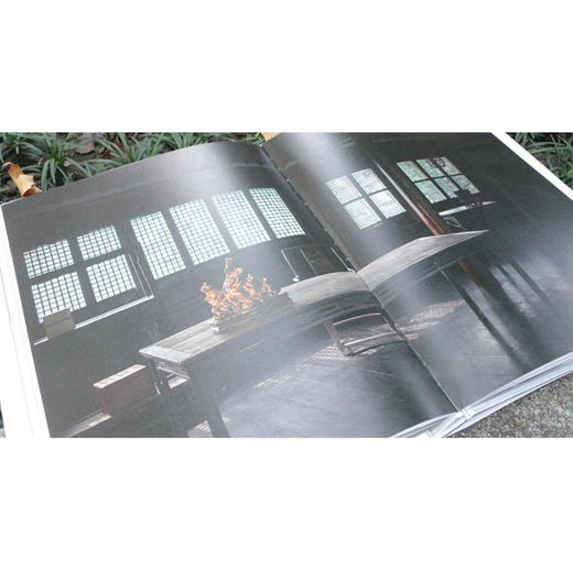 城市山林古代原座赏石 老石断代 石种特质 底座工艺 历史文化 美学性资料性赏石佳作 西泠印社出版社 商品图2