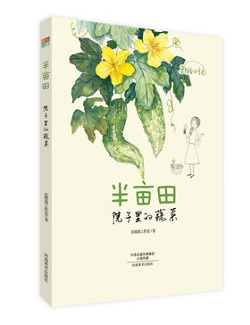 美绘时光 半亩田 水彩画 绘画技法 教程 自然 半亩田 美好生活 色彩 蔬菜 院子 河南美术出版社