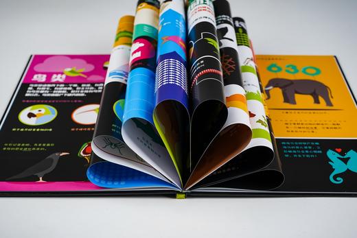 少儿绘本 |《去探索儿童科普绘本》·全套4册 | 幼儿阅读 入门 科普百科 商品图2