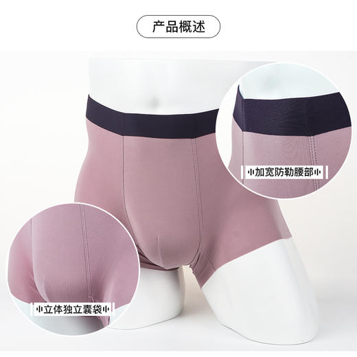 3zu足装秀 120支随心裁男士莫代尔内裤Z30504 商品图1