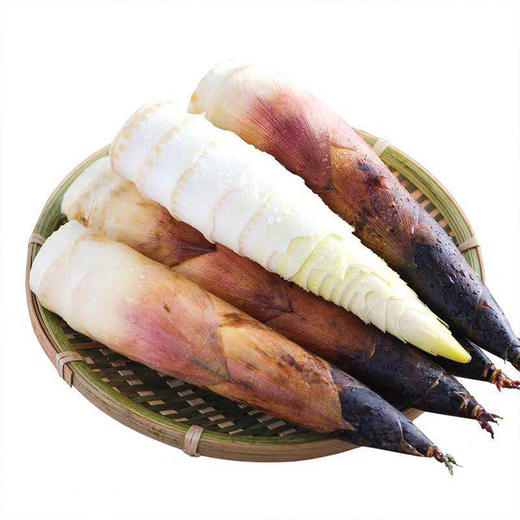 ★临安纯雷竹笋5斤装 商品图0