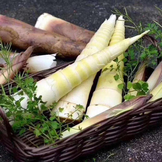 ★临安纯雷竹笋5斤装 商品图1