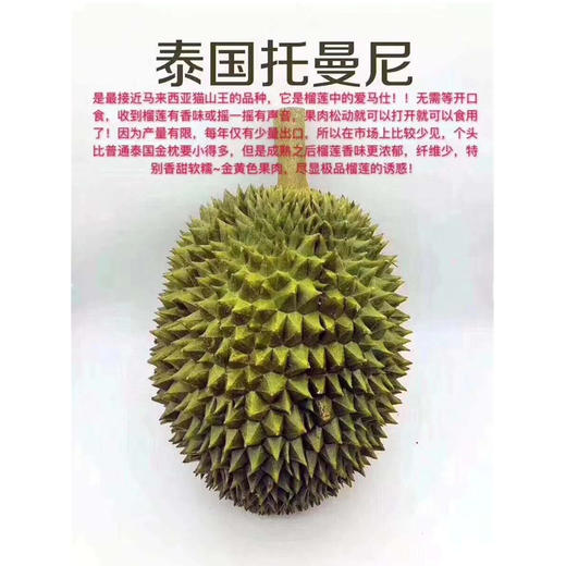 正宗托曼尼(泰国猫山王)榴莲 商品图0
