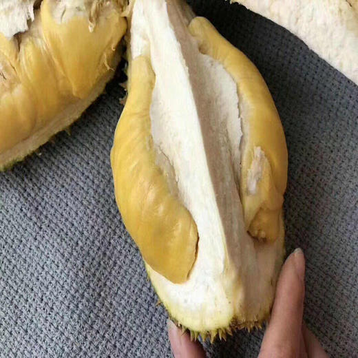 正宗托曼尼(泰国猫山王)榴莲 商品图6