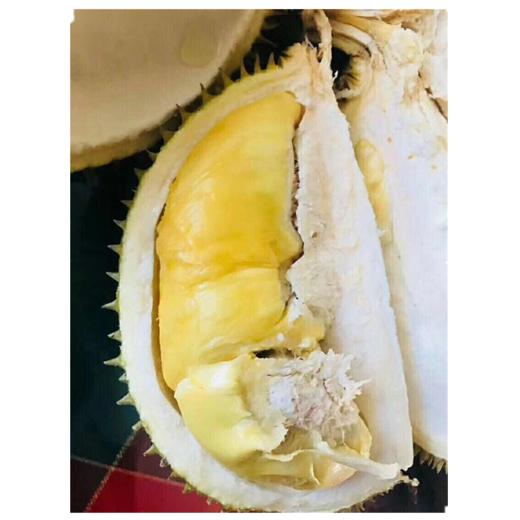 正宗托曼尼(泰国猫山王)榴莲 商品图7