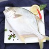 金鲳鱼 500g左右/条 商品缩略图2