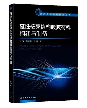 雷达吸波材料隐身技术--磁性核壳结构吸波材料构建与制备