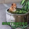 电子卡券Test 商品缩略图0