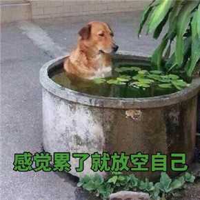 电子卡券Test 商品图0