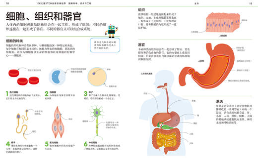 DK图解数学、科学技术与工程   适合5-12岁 数学推理思维训练书 商品图5