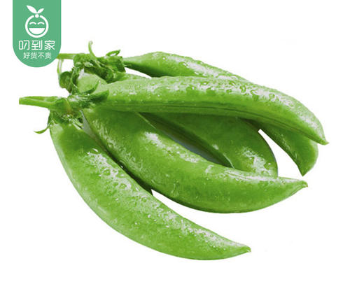 云南新鲜甜豆/1份（约200g） 商品图4
