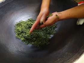  碧螺春叫心血茶是不是更为合适？ 