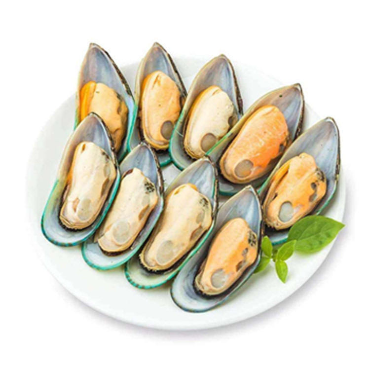 新鲜青匙 淡菜（现撬）
