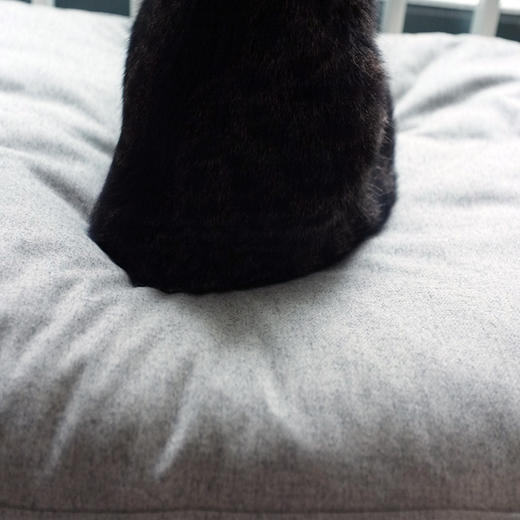 CatS超级享受之羽绒猫咪睡垫 CatS猫家具专用 仅供老客户 包邮 商品图2