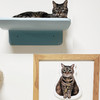 CatS猫家具独家定制：手绘猫全身肖像画木制挂钟走时 可写名字 商品缩略图1