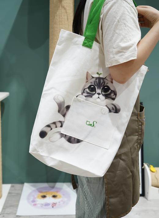 CatS十周年献礼：小猫口袋帆布包 陶瓷手绘猫勺 年年有鱼盘 包邮 商品图3