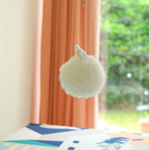 配件购买：白毛球猫玩具挂件 CatS猫家具专用 仅供老客户购买 商品图1