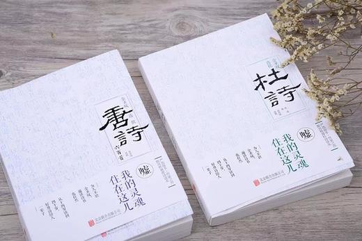 《金圣叹选批唐诗 杜诗》 商品图2