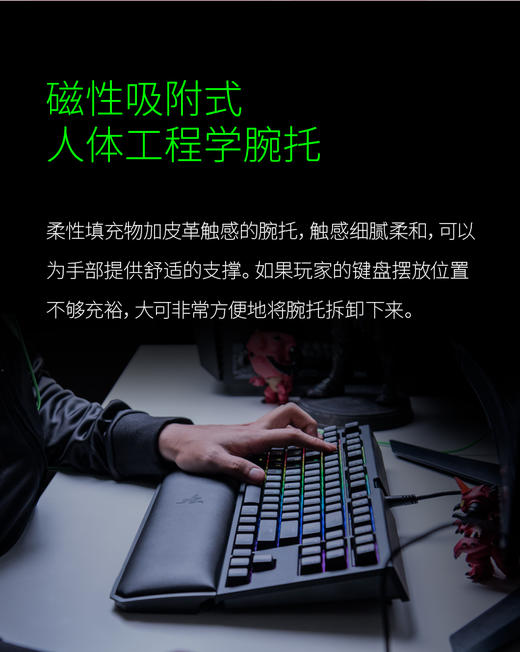 Razer雷蛇黑寡妇蜘蛛竞技幻彩版V2 商品图7