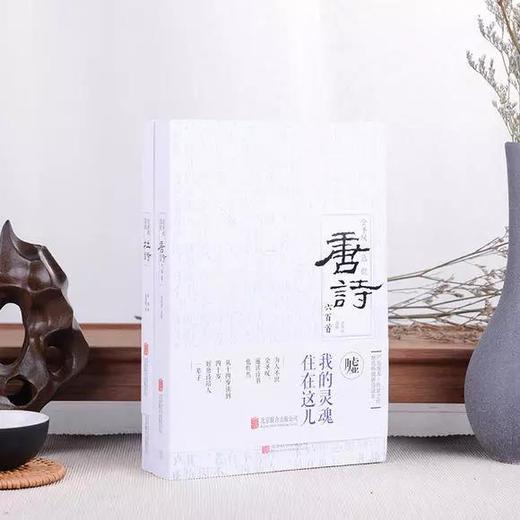 《金圣叹选批唐诗 杜诗》 商品图0
