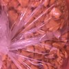 潮汕小菜脯条 商品缩略图0