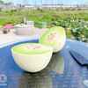 糯甜的玉菇甜瓜 商品缩略图1