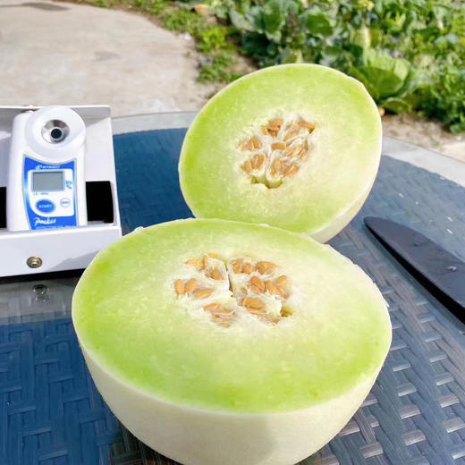 糯甜的玉菇甜瓜 商品图0