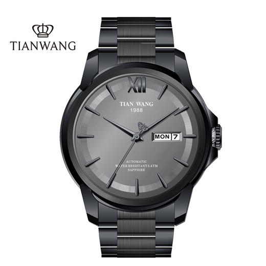 天王表新品经典男表专柜同款机械表GS51026 商品图0