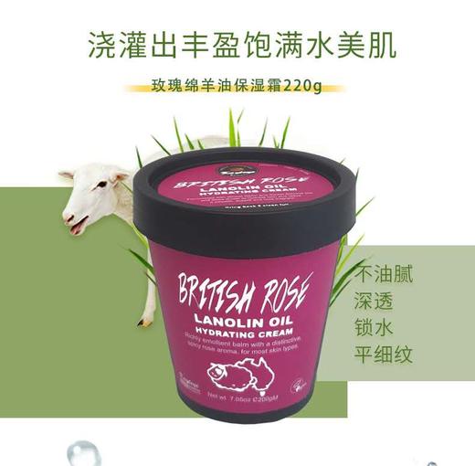 【Kayteye柯泰儿澳洲进口绵羊油】玫瑰 / 薰衣草  身体乳 买一送一 商品图0