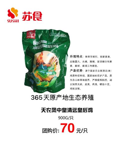 PY苏食广东清远鸡（皇后鸡）900克左右/只 商品图1