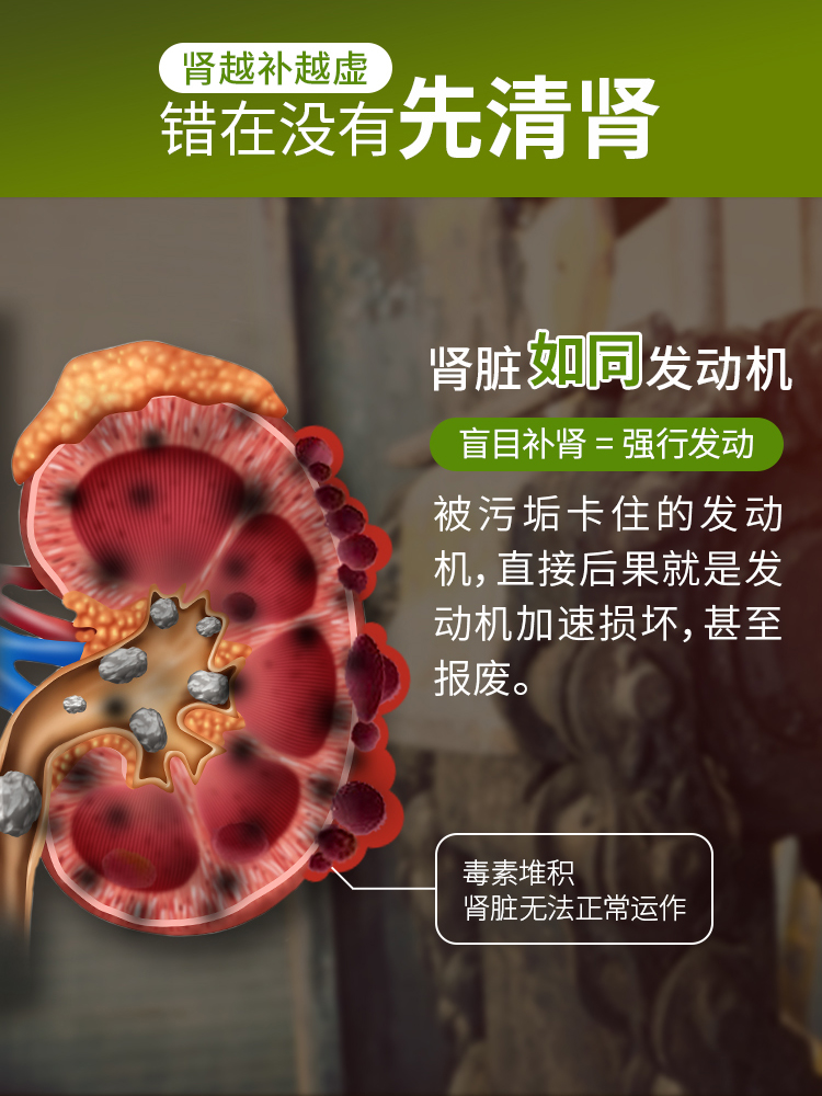 白桦-NEW_05.jpg