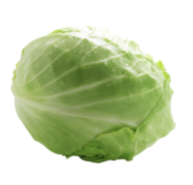 甘蓝圆白菜