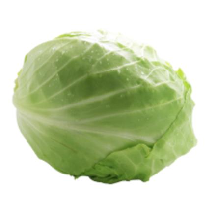 甘蓝圆白菜 商品图0