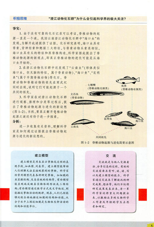 普通高中课程标准实验教科书 生物 2 必修 遗传与进化 商品图4