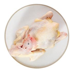 苏食气调鲜苏北老母鸡（半鸡）约700克/盒【0510】